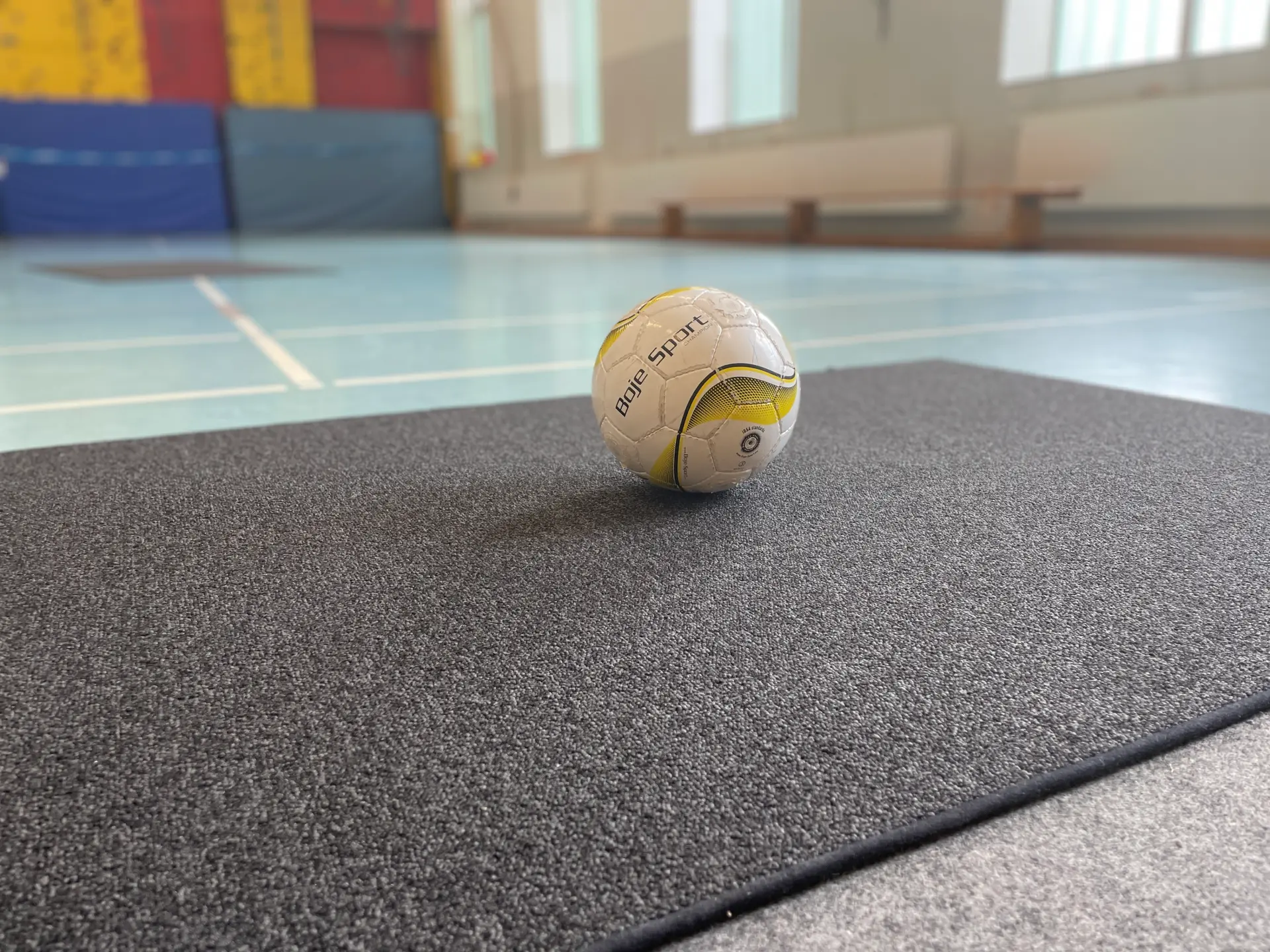 Foto eines Torball-Balls