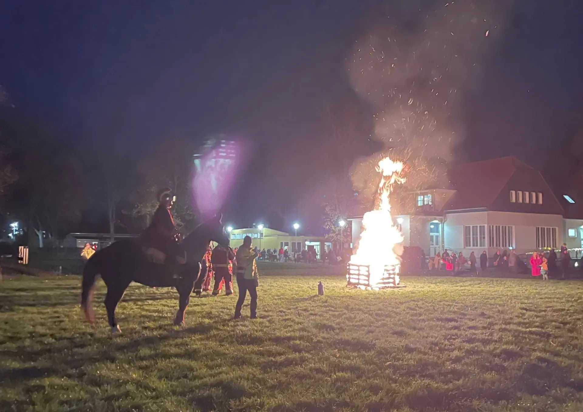 Foto vom Pferd am Martinsfeuer